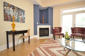 Gas fireplace